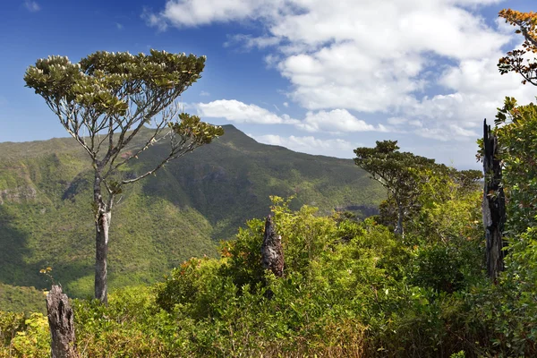 Kilátás a hegyekre. Mauritius — Stock Fotó