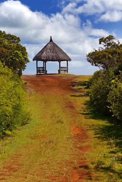 Vägen i trä, röda jorden, park "black river gorge". Mauritius — Stockfoto