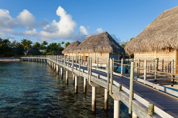 Palmiye ağaçları ve küçük sahil su üzerinde bir günbatımı evler. — Stok fotoğraf
