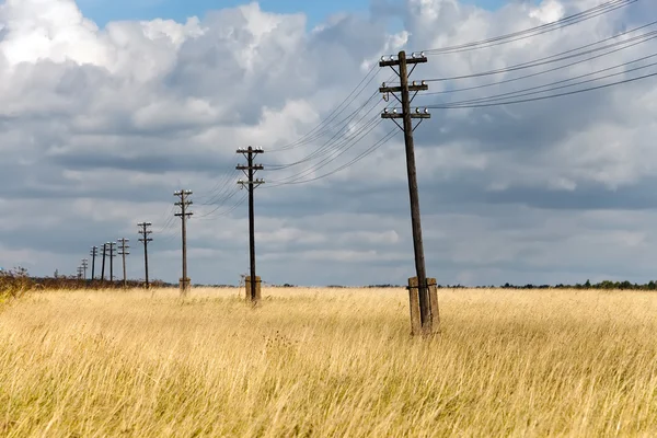 Old wooden electric pillar in the field — Stock Photo, Image