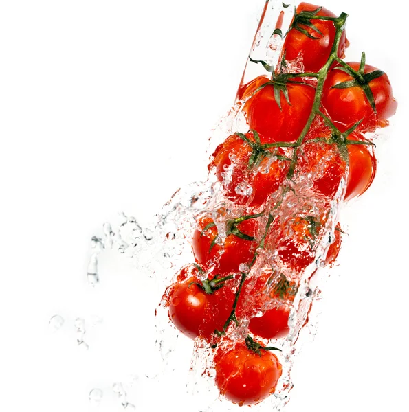 Su sıçramalarına dalında domates — Stok fotoğraf