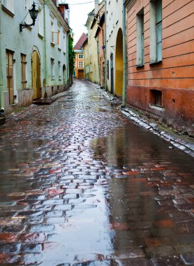 yağmur altında eski şehrin sokaklarında. Tallinn, Estonya.