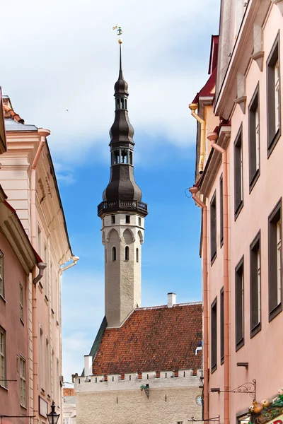 Cidade velha, Tallinn, Estónia. Uma palheta meteorológica Old Thomas na torre da Câmara Municipal — Fotografia de Stock