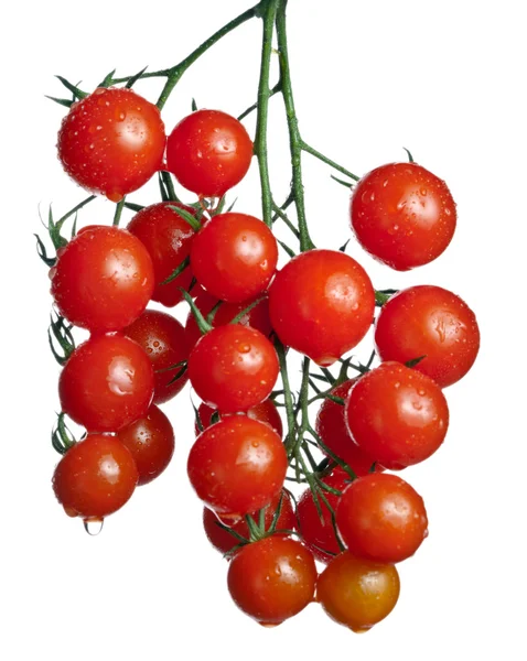 Tomatoes branch in water splashes — Stock Photo, Image