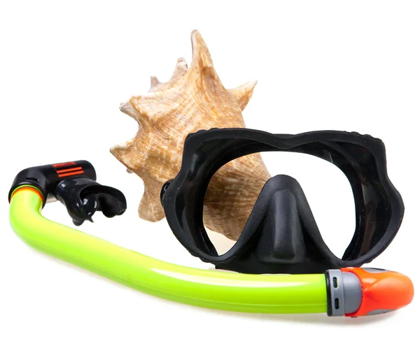 Трубка для дайвинга (с трубкой), большая морская раковина и маска — стоковое фото