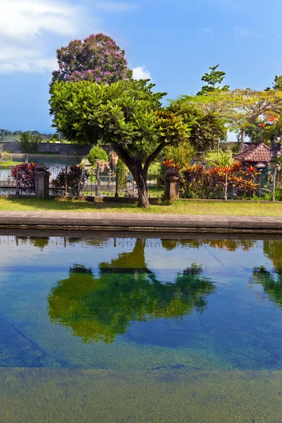 Tropická krajina. Indonésie. Bali. — Stock fotografie