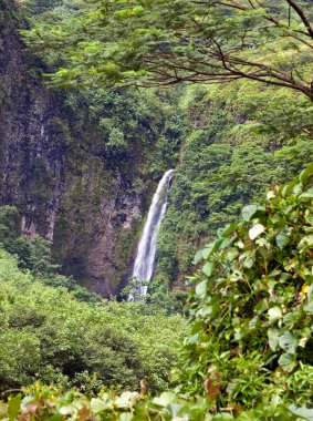 şelale. Polinezyası. Tahiti