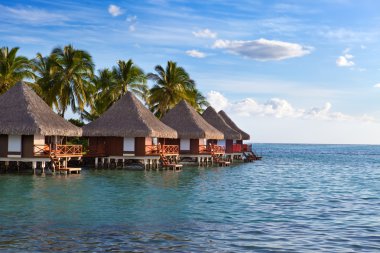 palmiye ağaçları ve küçük sahil su üzerinde bir günbatımı evler.