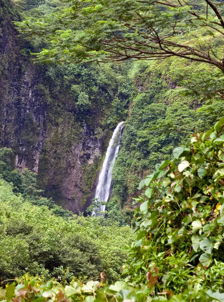 Waterfall. Polynesia. Tahiti — Stock Photo, Image