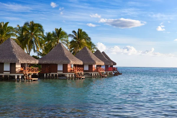 Palmiye ağaçları ve küçük sahil su üzerinde bir günbatımı evler. — Stok fotoğraf