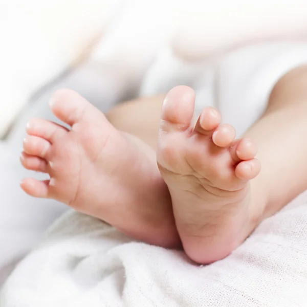 Nyfödd baby fötter — Stockfoto