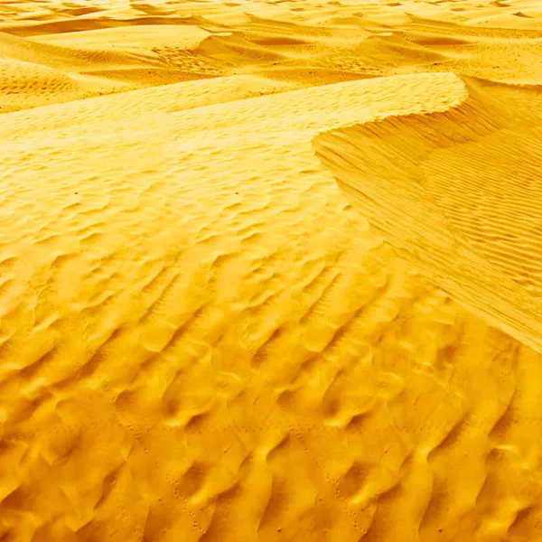 沙漠撒哈拉 — 免费的图库照片
