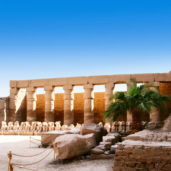 Tempel von karnak ägypten — Stockfoto