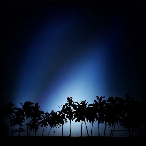 Silhouet van palm — Stockvector