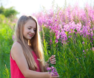 Beauty young girl on meadow clipart