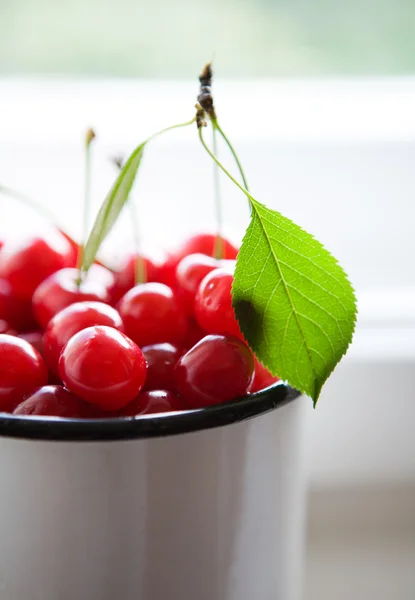 Twig with green leaf and cherries — Stock Photo, Image