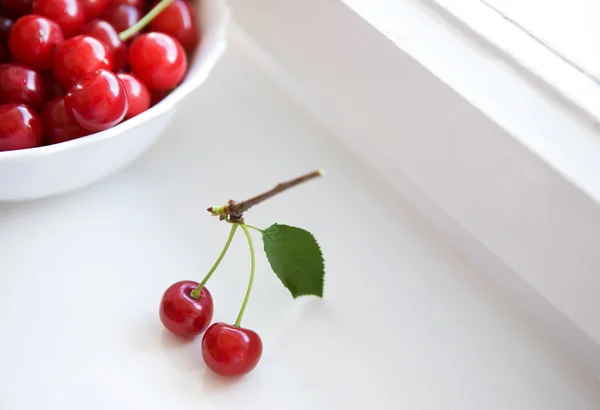 Little twig with two cherries — Stock Photo, Image