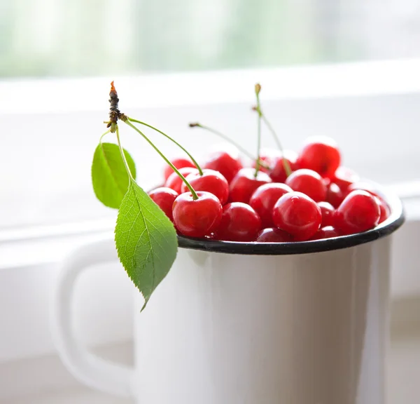 Cerezas rojas en taza blanca — Foto de Stock