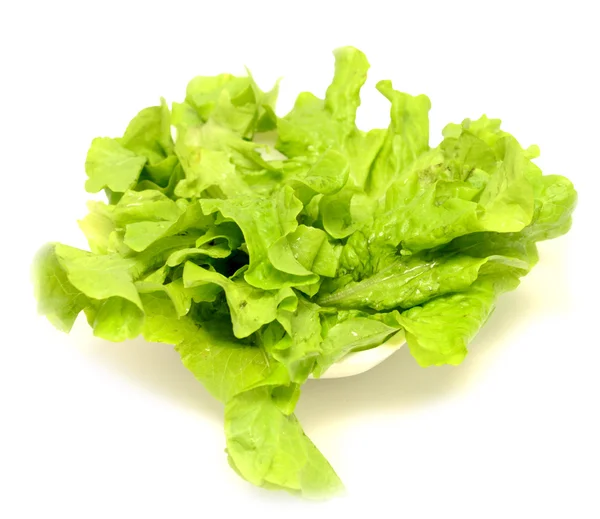 Salade dans une assiette — Photo