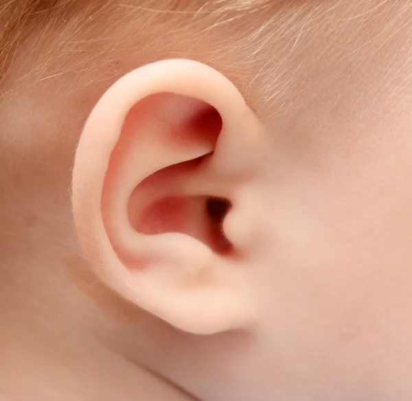 Bebek kulak — Stok fotoğraf