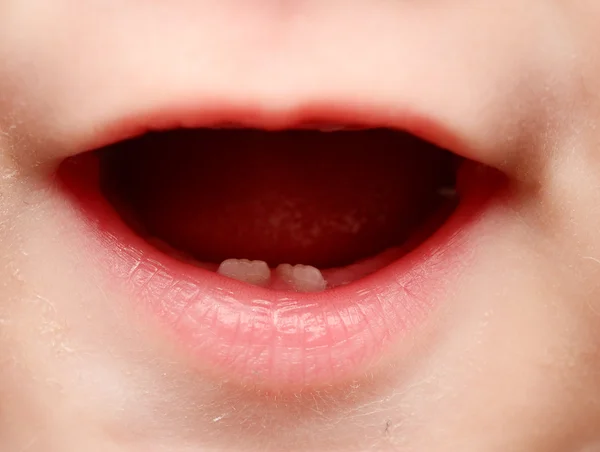아기 이빨 — 스톡 사진