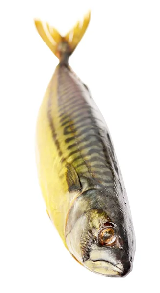 Wędzona makrela — Zdjęcie stockowe