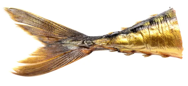 Cauda de peixe — Fotografia de Stock