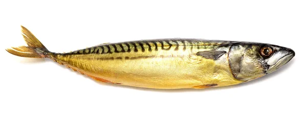 Smoked mackerel — Stock Photo, Image