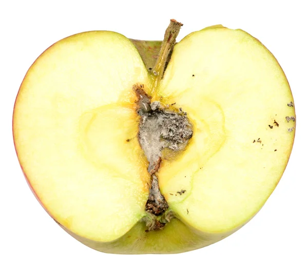 Shnilé jablko — Stock fotografie