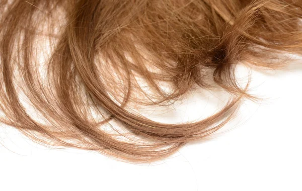 Женские волосы — стоковое фото