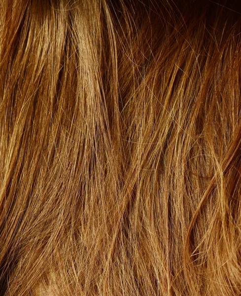 Fond de cheveux — Photo