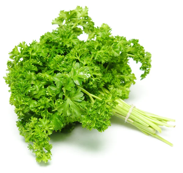 stock image Parsley