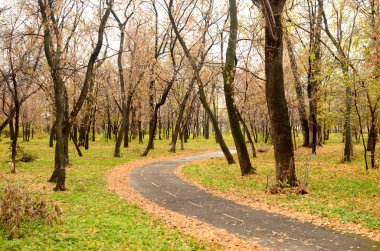 Sonbahar Parkı