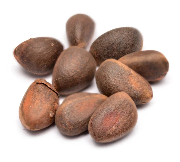 Кедровые орехи — стоковое фото