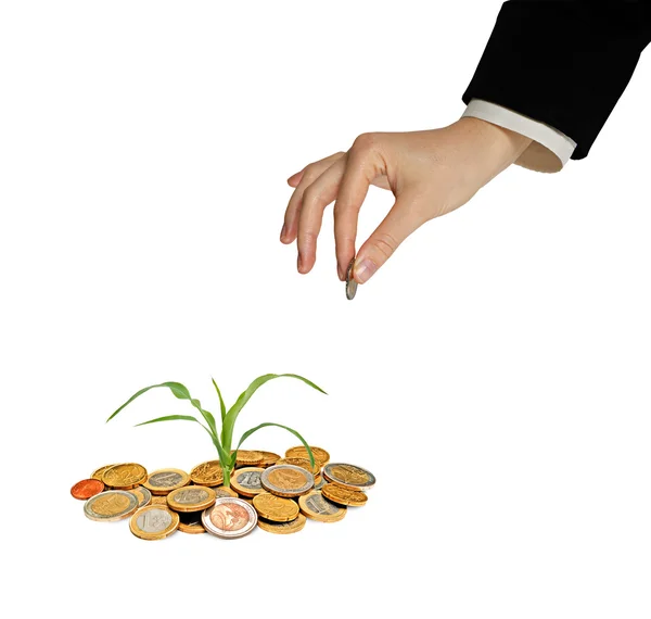 Investment to agriculture — Stock Photo, Image