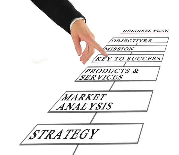 Presentation of business plan — Stock Photo, Image
