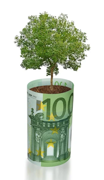 Дерево растет из евро — стоковое фото