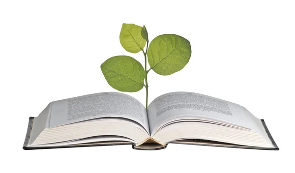 Árbol creciendo de libro abierto —  Fotos de Stock