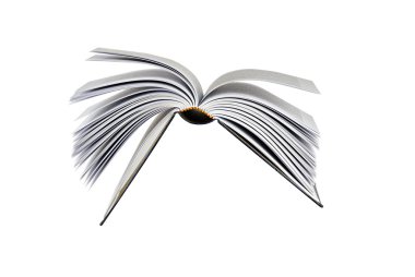 uçan kitap