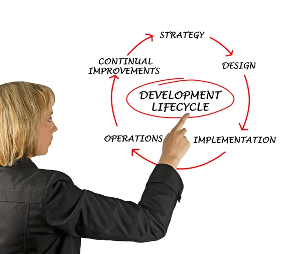 Presentation av utvecklingscykeln — Stockfoto
