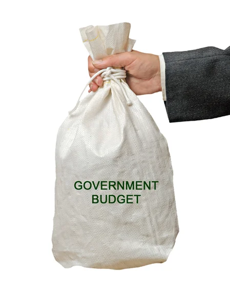 Govermentl bütçe ile çanta — Stok fotoğraf