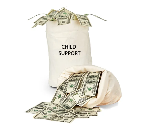儿童抚养费 — 图库照片