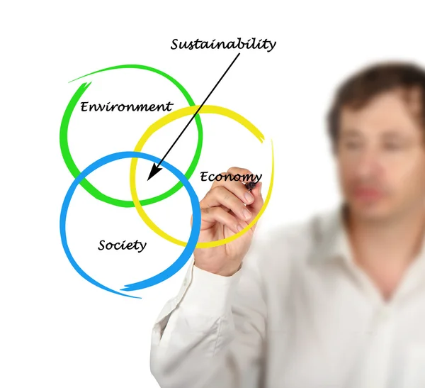 Presentatie van diagram van duurzaamheid — Stockfoto