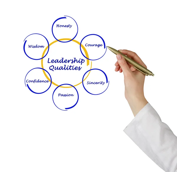 Diagramm der Führungsqualitäten — Stockfoto
