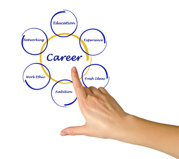 Diagram of career success — Stock Photo, Image