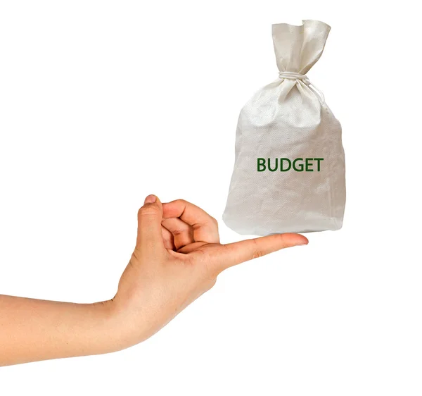Bolsa con presupuesto — Foto de Stock