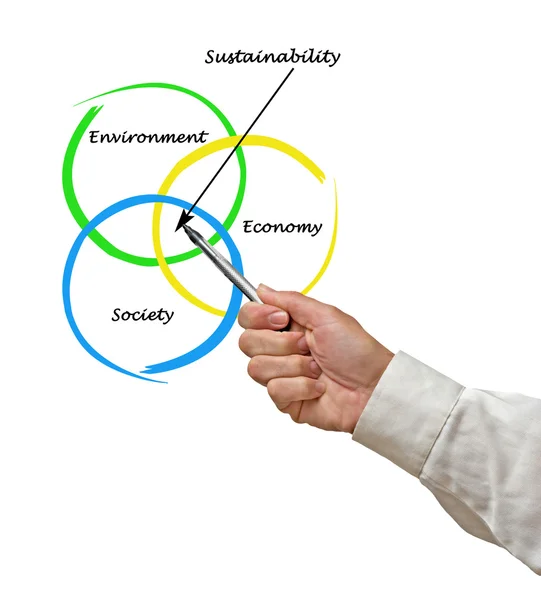 Prezentace diagramu udržitelnosti — Stock fotografie