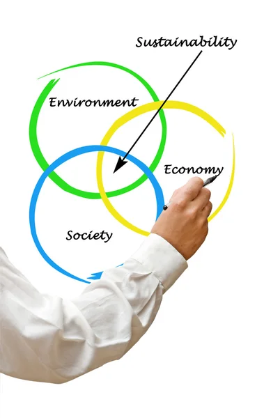 Presentation of diagram of sustainability — Stock Photo, Image