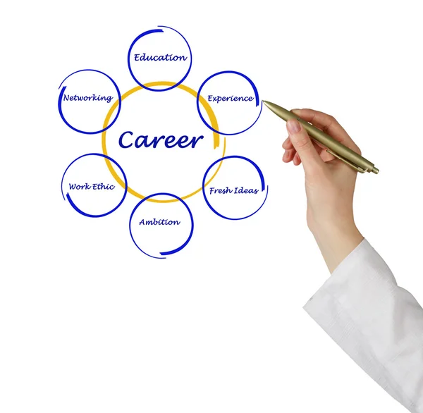 Diagram of career success — Stock Photo, Image