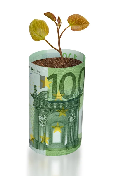 El arbolito crece a partir del euro — Foto de Stock